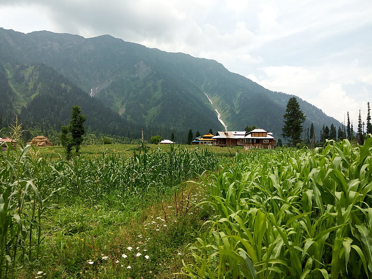 landscape, mountains, green, mountain landscape, nature, scenery, tourism