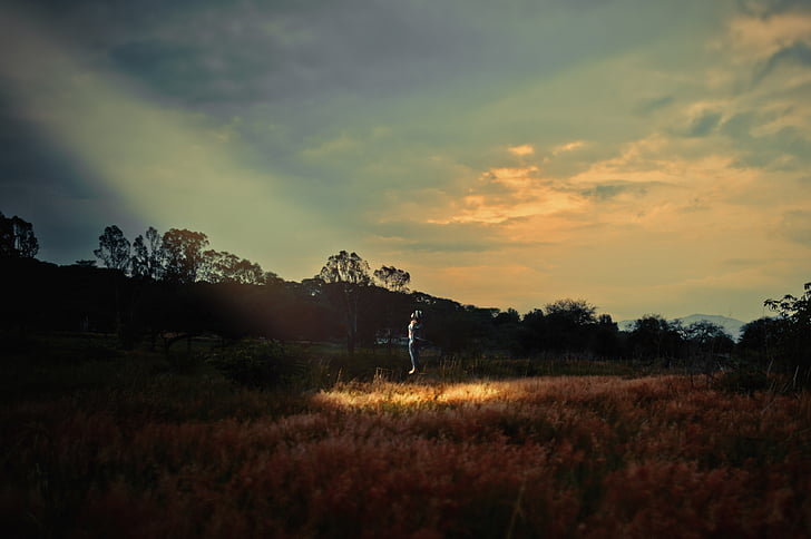 Grün, Grass, Bäume, Natur, im freien, Himmel, Wolke