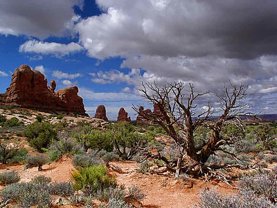 Valle del monumento, Stati Uniti d'America, Colorado, deserto