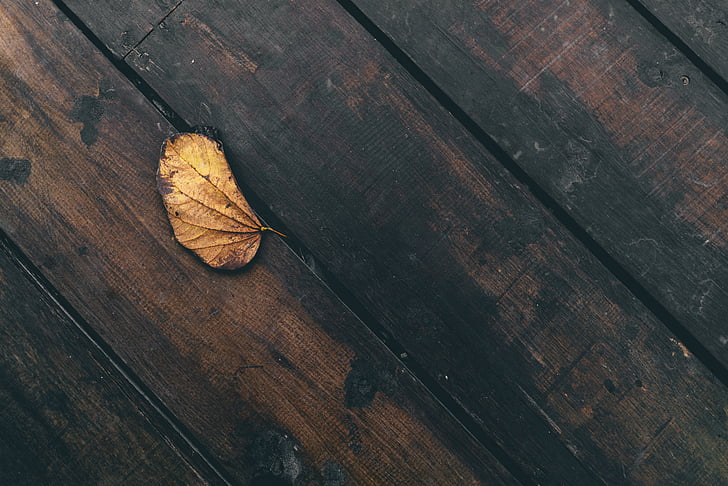 leaf, dried, wooden, table, things, still, wood