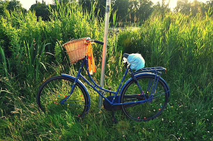 bicycle, bike, vintage bicycle, travel, transport, basket, retro