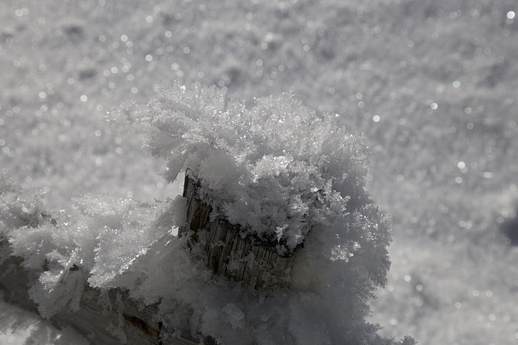 ziemas, spīguļot, kristāli, sniega, aukstā - temperatūra, daba, ledus