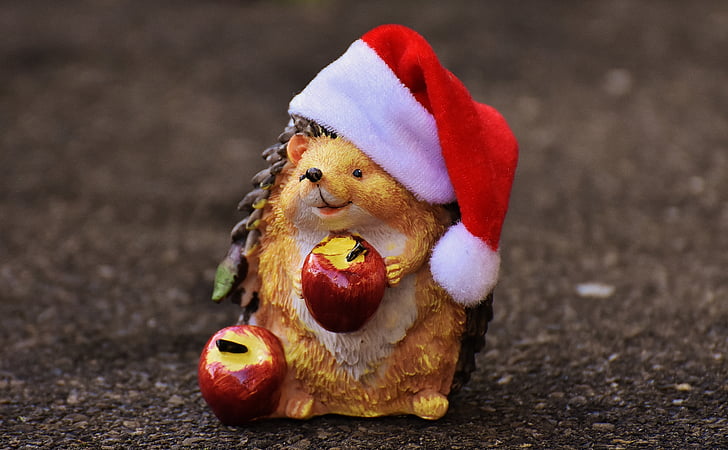 pindsvin, figur, jul, Santa hat, dekoration, Sjov, dyr
