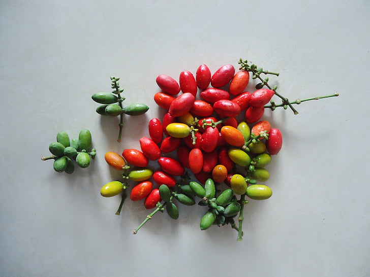 melinjo, tropical, asian