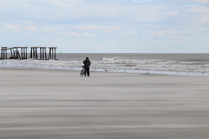 人, 自転車, 立っています。, 海岸, 昼間, 海, 海
