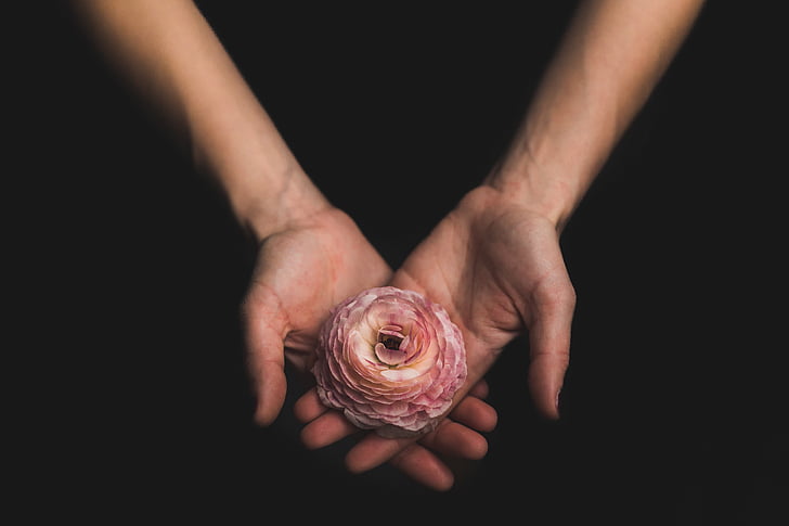 sombre, main, bras, Palm, fleur, main de l’homme, partie du corps humain