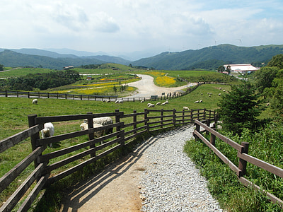 ranch, landscape, republic of korea, country road, outdoor, sky, cloud