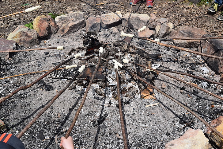 campfire, fire, floor, sticks, stick bread