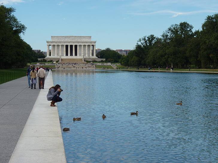 Lincoln, Zdjęcie, kaczki, wody, Waszyngton, staw