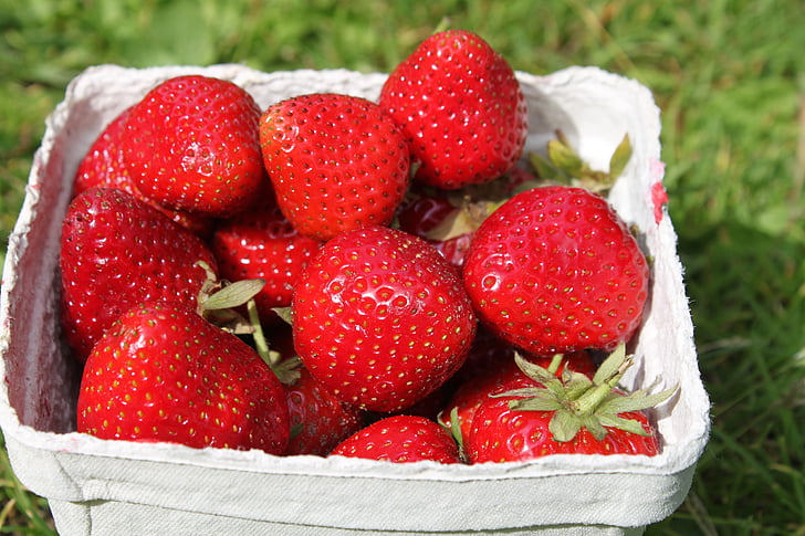 jordgubbar, Berry, röd, sommar, sommartid, Sverige, trädgård