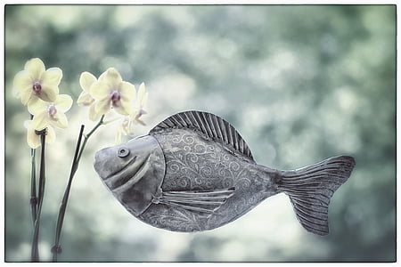 риба, метални риба, орхидея, плуване, цвете, плувец, водолази