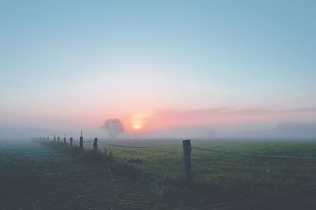 platteland, Dawn, schemering, hek, mist, mistig, landschap