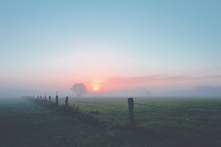 tåge, Dawn, landskab, morgenstimmung, humør, ægte detektiv, forstøvet