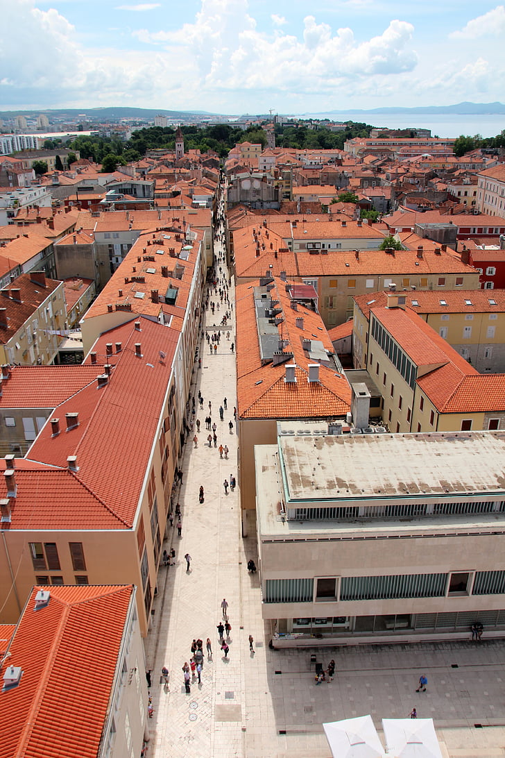 Kroatien, Zadar, fra oven, gamle bydel, Dalmatien, kirke, historiske gamle bydel
