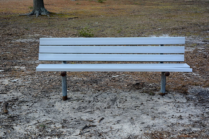 bench, seat, park, seated, sit, chair, nature