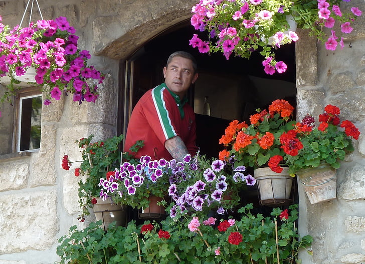 hanging baskets, flowers, decoration, person, man, holiday, flower