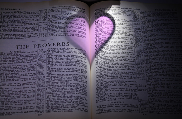 Bibeln, Ordspråksboken, hjärtat, lila, Rosa, skugga, svagt ljus