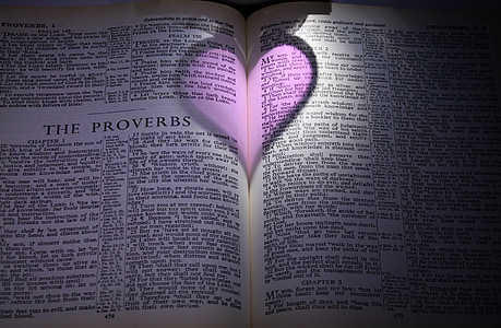 Raamattu, Sananlaskut, sydän, violetti, vaaleanpunainen, varjo, hämärässä