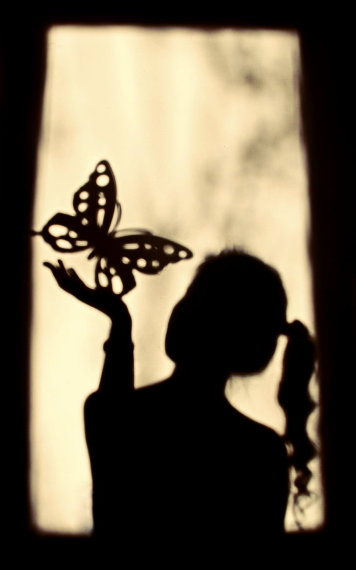 bayangan, Gadis, kupu-kupu, siluet, jendela, seorang wanita hanya, hanya perempuan