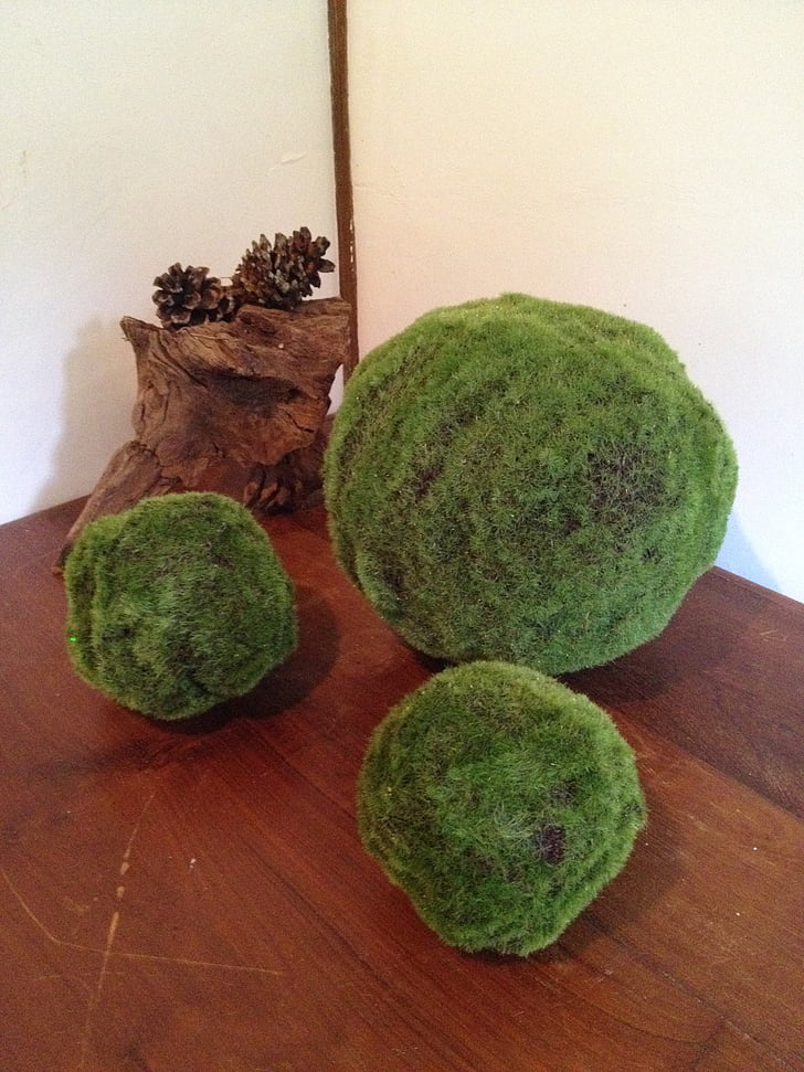 Zen, Grass ball, Japoński