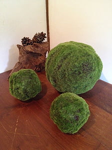 Zen, bola d'herba, japonès