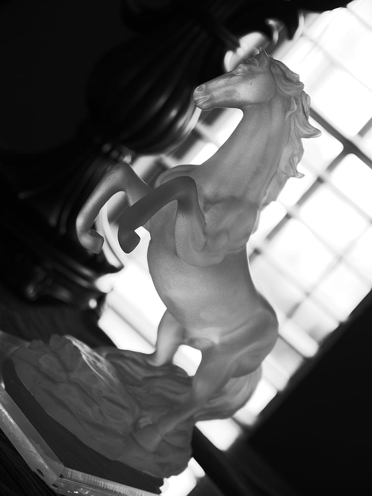 cavalo, estátua, vidro, janela, preto e branco, mulheres