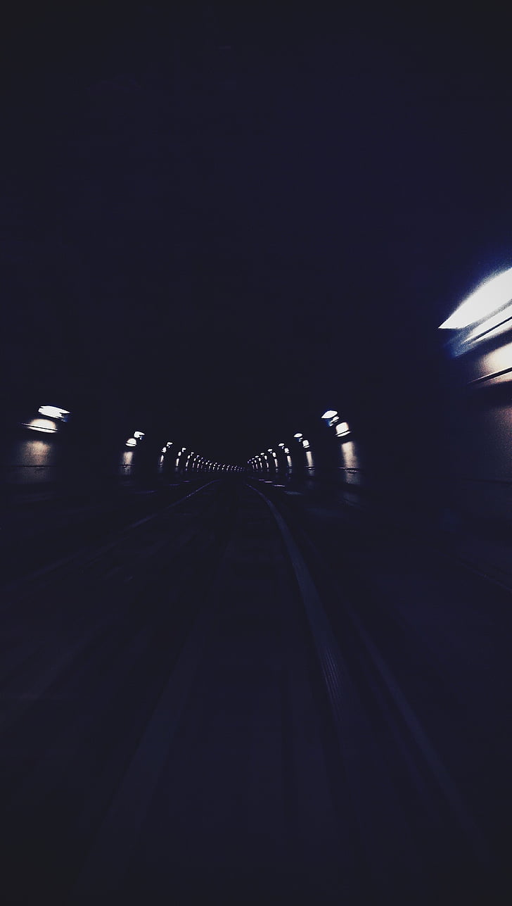 routes sombres, tunnel, aucun peuple, nuit, à l’intérieur, animal thèmes, gros plan