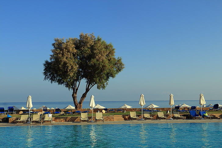 baseinas, jūra, plaukimo baseinas lauke, Kreta, medis, denio kėdės, skėtis