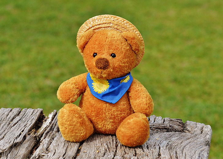 ведмідь, Тедді, м'яка іграшка, Опудала тварин, плюшевий ведмедик, ведмідь бурий, діти