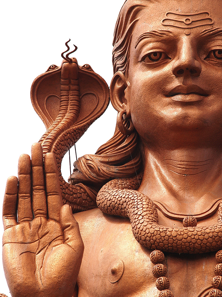 religion, hindu, fred, statue, gad med cobra, spiritualitet, skulptur