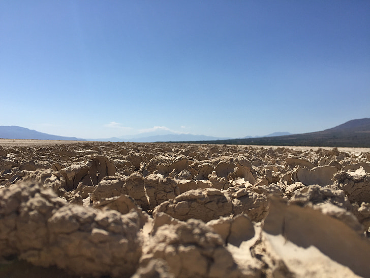 έρημο, ξηρασία, φόντο, Soledad, αγελάδα κρανίο, προφύλαξη οθόνης, Άμμος