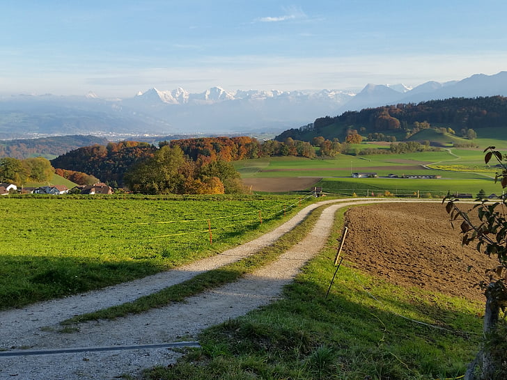 path, mountains, autumn, landscape, nature, countryside, green