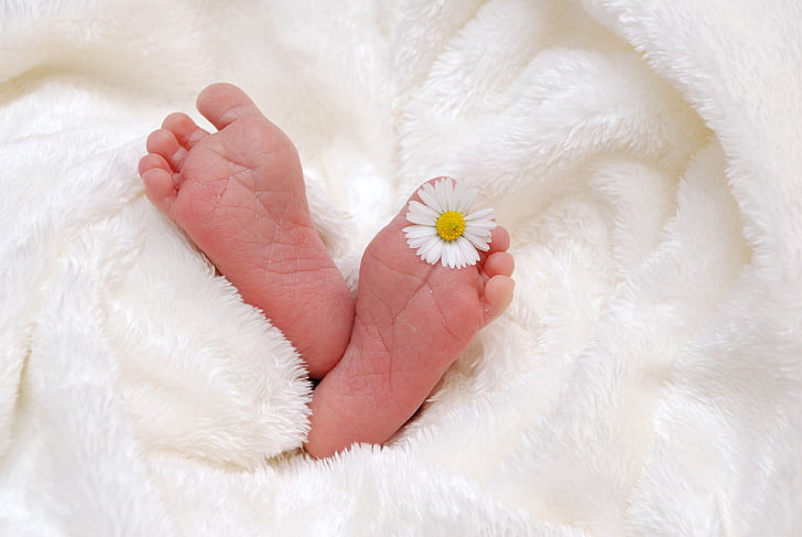 baby, blanket, child, cute, feet, flower, newborn