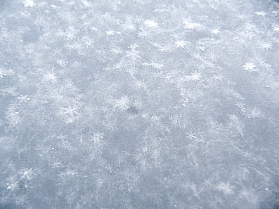 neu, l'hivern, blanc, fred, temps, gel, fons