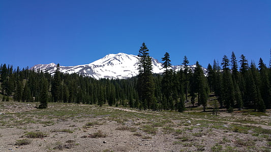 Mt. shasta, Berg, Schnee, Landschaft, Wald, Evergreen
