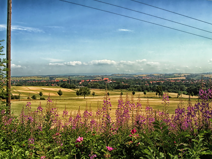 Duderstadt, Duitsland, landschap, schilderachtige, bloemen, velden, Vista