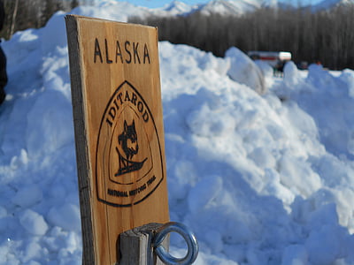 Aliaska, Iditarod, ženklas, wonter, šaldymo, kelionės, tvirtinimo