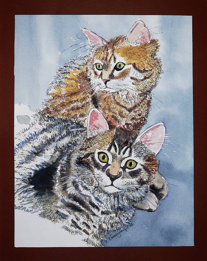 Akvarel, Vodové farby vďaka, mačka, zviera, mladé mačky, umenie, maľované