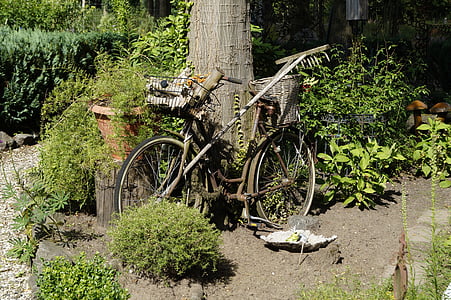 fiets, roestige, uitgeschakeld, verleden