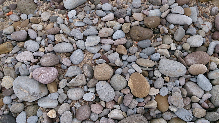 Beach, lì kivi, põhjarannikul