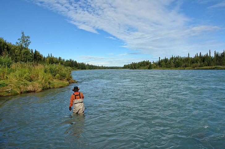 keani 강, 알래스카, 낚시, 강, 야외에서, 어 부, 물