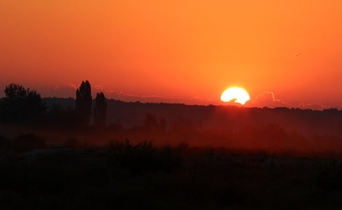 solopgang, morgen, af haze, landskab, rød