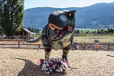 t-rex, ไดโนเสาร์, บริติชโคลัมเบีย แคนาดา, ดอกไม้, ภูมิทัศน์, rex, ซอรัส