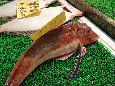 pescado, mercado, Japón, Tokio, Tsukiji, atracción, Japonés