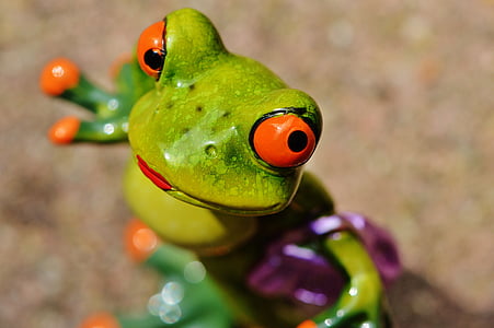 žaba, kuriatko, smiešny, milý, sladký, zábava, obrázok