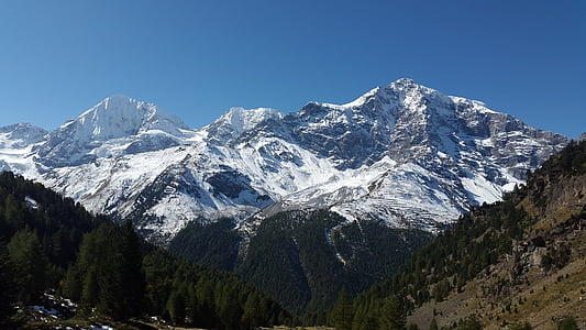 ortler, königsspitze, Güney Tirol, zebru, Gran zebru, Alp, gebrige