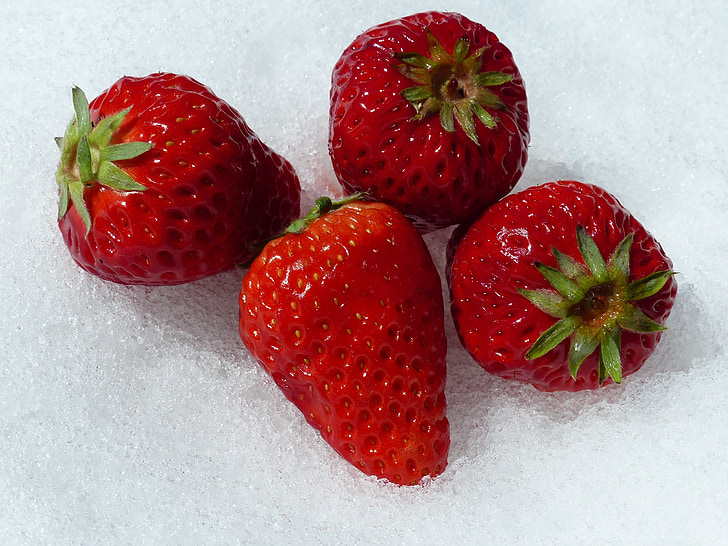 jordgubbe, röd, snö, mat, frukt, friska, Berry
