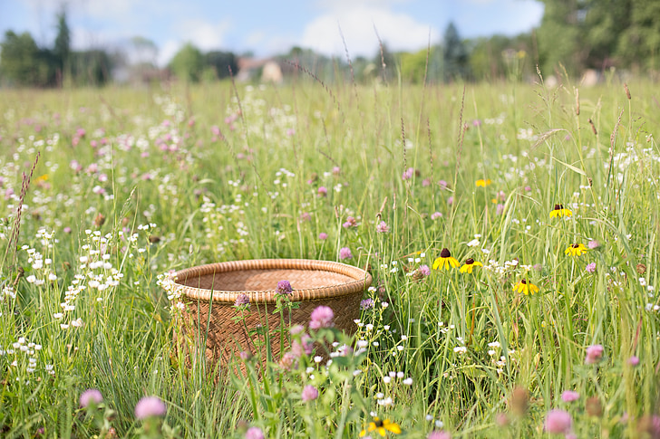 basket, wildflowers, summer, flower field, nature, grass, outdoors