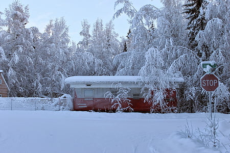 Alaska, snö, släpvagn, vinter, kalla, Ice