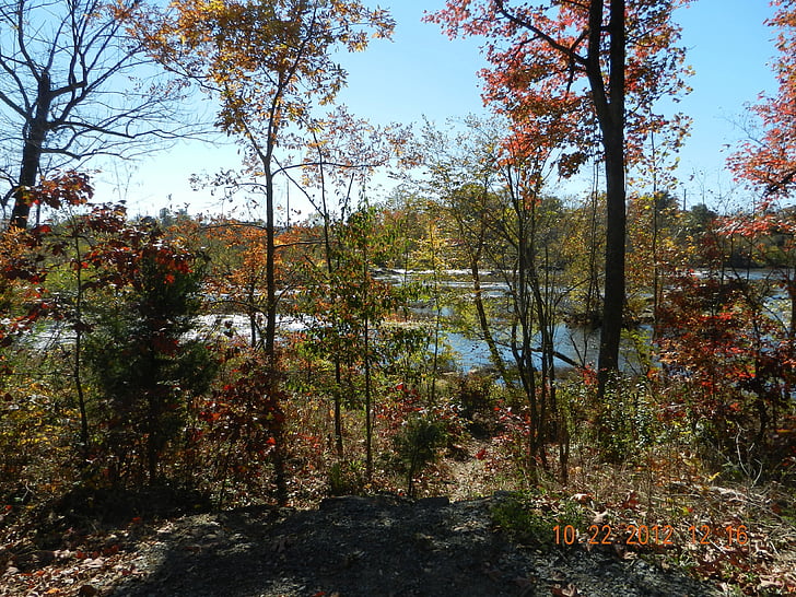 rivière Rappahannock, Fredericksburg, Virginie, eau, arbre, organique, Agriculture